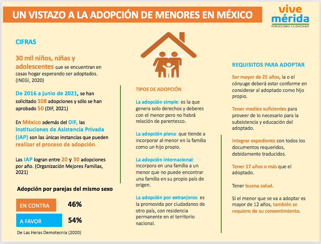 Cual Es El Proceso De Adopcion En Mexico