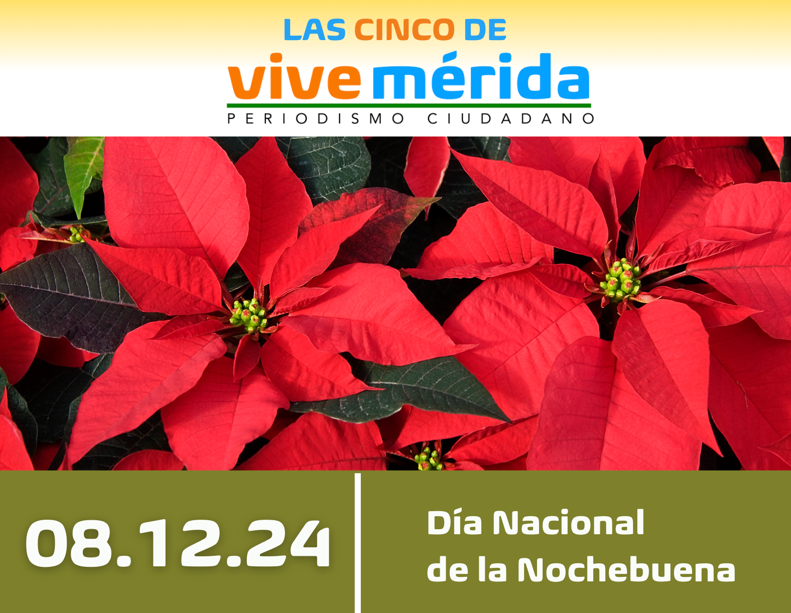 Captura de pantalla 2024-12-08 a la(s) 8.39.12