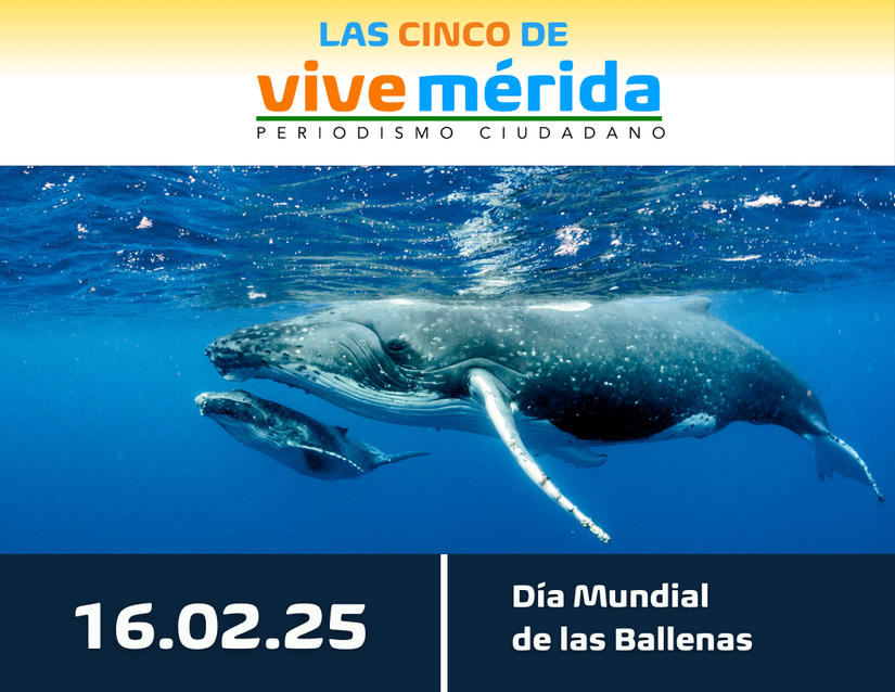 BALLENA