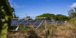 Paneles solares en Sotuta: millonaria inversión sin energía
