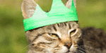 La felicidad suena a “Miau”